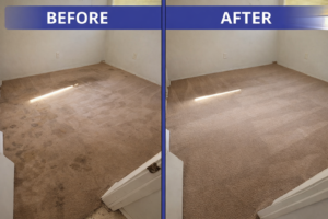 Carpet cleaning transformation comparison